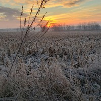 Profile Picture of Jesse Rice (@jesse-rice-28) on Quora