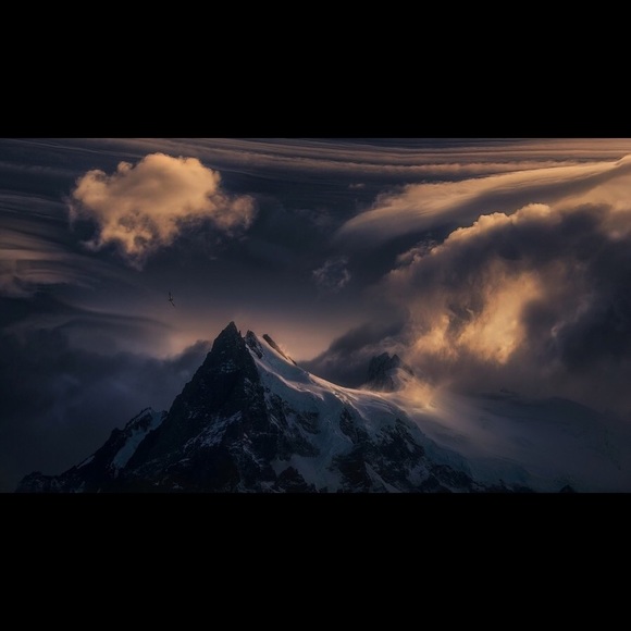 Profile Picture of Talon Brimley (@tbrimz) on Poshmark