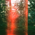 Profile Picture of Zachary Lam (@zacharydsl) on Flickr