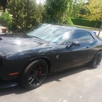 Profile Picture of Robert Latkolik (@robertlatkolik) on Pinterest