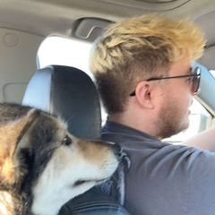 Profile Picture of chazcollins73 (@chazcollins73) on Tiktok