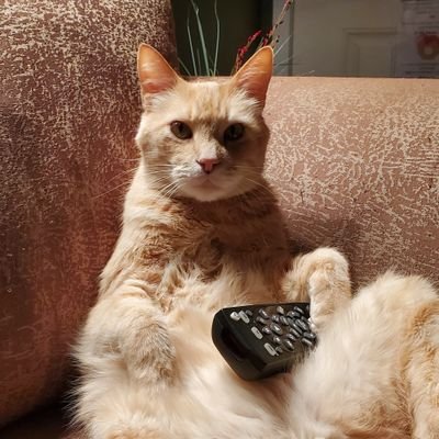 Profile Picture of Joshua Ryan (@JoshRyanSports) on Twitter