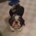 Profile Picture of Dusty Graham (@dusty.graham.313) on Facebook