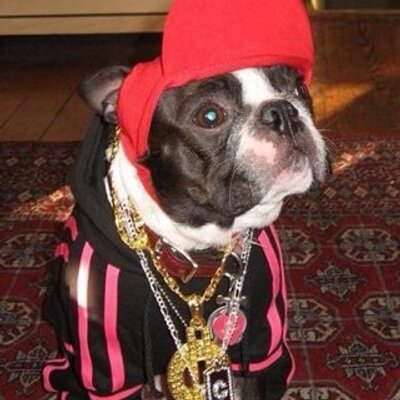 Profile Picture of Ian O Loughlin (@iano444) on Twitter