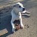 Profile Picture of Fotini Tsingelis (@fotinitsingelis) on Pinterest