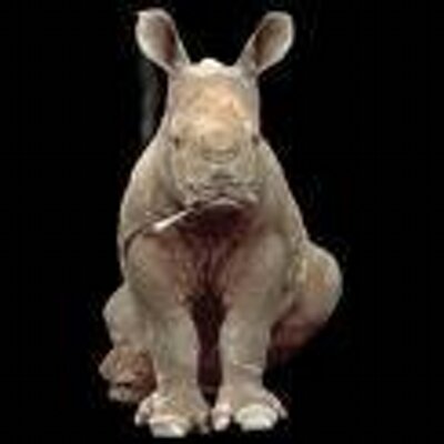 Profile Picture of Ben Thomas (@CrunkRhinos) on Twitter