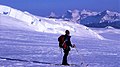 Profile Picture of Ski mountaineeringon Wikipedia