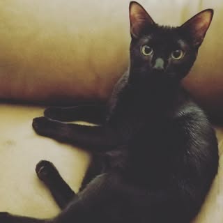 Profile Picture of Nancy Redgate (@redgatenancy) on Instagram