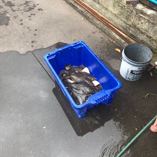 Profile Picture of George Nathan (@george.nathan.752861) on Facebook