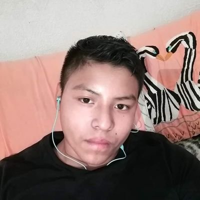 Profile Picture of Armando Abrego (@Armando41772324) on Twitter