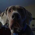Profile Picture of Kathy Gimello-Peragine (@gimelloperagine) on Instagram