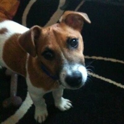 Mark Stoneman - Twitter Profile Picture of Mark Stoneman (@stonerz1992) on Twitter