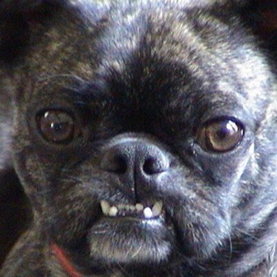 Profile Picture of Jim Cavalier (@JimCavalier1) on Twitter