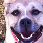 Profile Picture of John Albrecht (@john.albrecht.7524) on Instagram