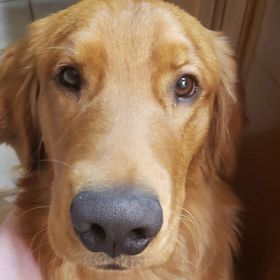 Profile Picture of Dana Roberts (@stormwalker0515) on Pinterest