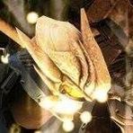 Profile Picture of Arthur Beckwith (@seth.calhoun.3) on Facebook