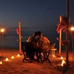 Profile Picture of Tracy Chaffee (@tracychaffee) on Instagram