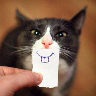 Profile Picture of Rodolfo Acosta (@r_acosta_t) on Twitter