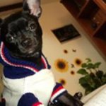 Profile Picture of Sandra Laurent (@sandralaurent13) on Instagram