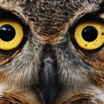 Profile Picture of N Reddy (@nithiltreddy) on Twitter