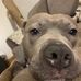 Profile Picture of Julian Claudio (@julian.claudio.583) on Facebook
