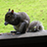 Profile Picture of Tim Beard (@tim.beard) on Flickr