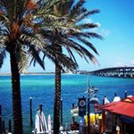 Profile Picture of Jodi🐾🌞🏝 (@jodischmidt5) on Instagram