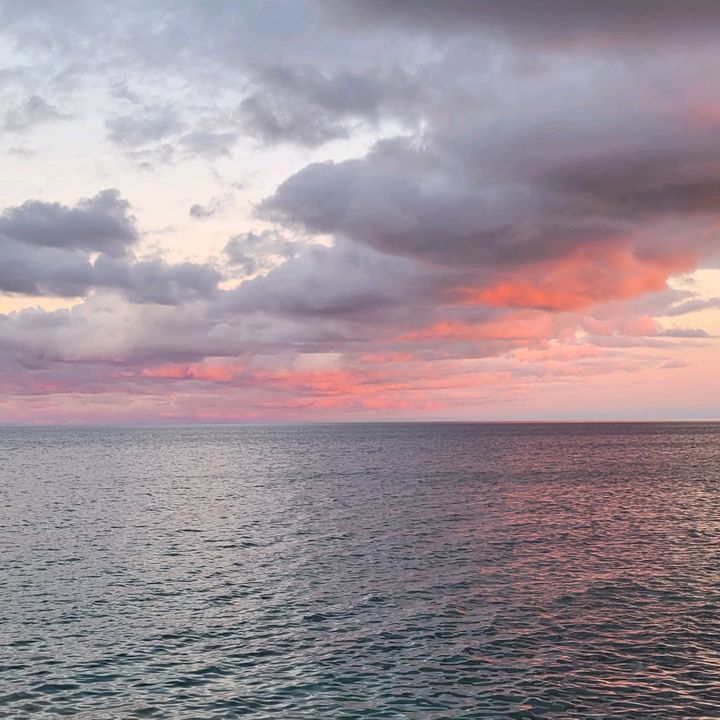 Profile Picture of Peter Keller (@peter.keller2) on Tiktok
