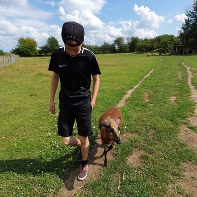 Profile Picture of ALƎX (@alexander_brede) on Twitter