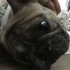 Profile Picture of jwortman112508 (@@jackwortmanbackup) on Tiktok