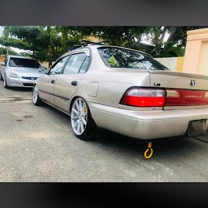 Profile Picture of Kelvin Collado (@kelvin.collado1) on Tiktok