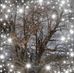 Profile Picture of Gottfried Hofer (@gottfried.hofer.376) on Facebook