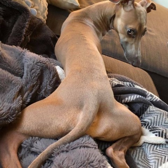 Greg Mckeeman - Poshmark Profile Picture of Greg Mckeeman (@gmmckeeman) on Poshmark