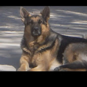 Profile Picture of Kevin Dinsmore (@kevindinsmore2556) on Youtube