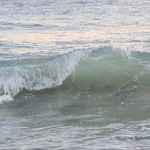 Profile Picture of Hans David Meisser (@hdmeisser) on Instagram