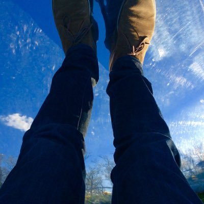 Profile Picture of Martin Paul (@vantastcom) on Twitter