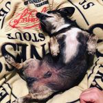 Profile Picture of Brian Winkelmann (@bcwinkelmann) on Instagram