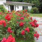 Profile Picture of Alexander Wolsey (@Alexander-Wolsey) on Facebook