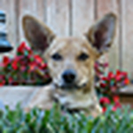 Profile Picture of juicywizzard (@juicywizzard) on Flickr