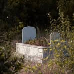 Profile Picture of Fari Ya (@Fari-Ya) on Facebook