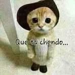 Profile Picture of Chin Figoli Sam (@chicharo.fco) on Facebook