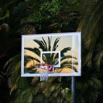 Profile Picture of Tyler Altman (@talohawiwoole) on Twitter