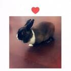 Profile Picture of   Lola is cool... (@user574307139) on Tiktok