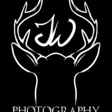 Profile Picture of Joshua Waite (@rogue_deer) on Twitter