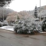 mehrdadbadiee - Instagram Profile Picture of mehrdadbadiee (@mehrdadbadiee8575) on Instagram