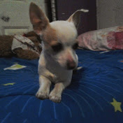 Profile Picture of Jacky Lara (@jackylara97) on Youtube