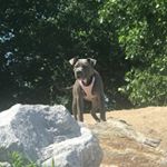 Profile Picture of Brian Stodola (@bstodola) on Instagram