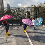 Profile Picture of Nidale (@nidale.haddad) on Instagram