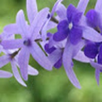 Everette Howell - Quora Profile Picture of Everette Howell (@everette-howell-2) on Quora