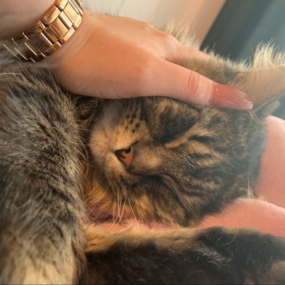 Profile Picture of Vic Schulli (@magdalena394) on Poshmark